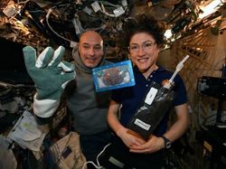 Potret Astronot Tukang Listrik, Perempuan Terlama Tinggal di Luar Angkasa