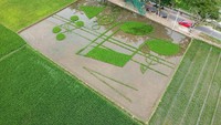 Begini penampakan udara seni Land Art Not Khatulistiwa karya perupa Iwan Yusuf di Desa Huntu Selatan, Kabupaten Bine Bolango, Gorontalo, Minggu (29/12/2019).