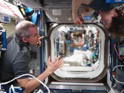 Potret Astronot Tukang Listrik, Perempuan Terlama Tinggal di Luar Angkasa