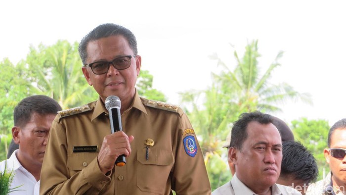 Gubernur Sulsel Nudin Abdullah (Noval-detikcom)