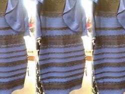 Aneka Meme Terbaik 1 Dekade Sampai 2019