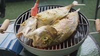 Ini Resep Ikan Bakar Bumbu Kuning yang Praktis dan Enak