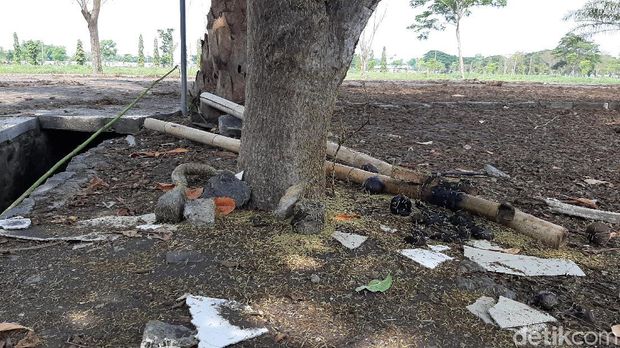 Bukan Daun, Peneror Warga Perumahan di Probolinggo Adalah Ulat Jengkal