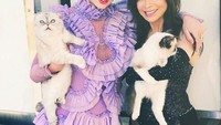 Taylor Swift sendiri memiliki tiga ekor kucing kesayangan.Kucing-kucing dengan bulu lembut ini kadang membuat banyak orang iri. Pasalnya Swift memperlakukan kucingnya seperti anak kesayangan. Foto: instagram @taylorswift