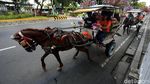 Kusir Delman Bakal Tak Bisa Lagi Kejar Rupiah di Kawasan Monas
