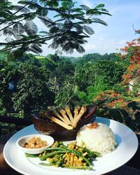 Usai Wisata di Ubud Bisa Makan Enak di 5 Restoran Ini 
