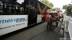 Kusir Delman Bakal Tak Bisa Lagi Kejar Rupiah di Kawasan Monas