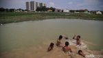 Alih Fungsi Lahan Persawahan di Pesisir Jakarta Alih Fungsi Lahan Persawahan di Pesisir Jakarta
