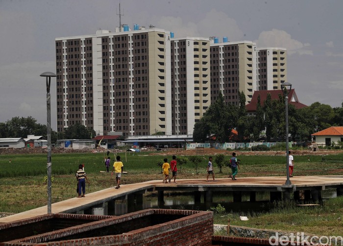 Lahan persawahan di Rorotan, Jakut perlahan hilang berjalan seiring dengan waktu karena beberapa pembangunan hunian.