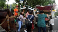 Pada tahap awal, akan ada sosialisasi larangan tersebut kepada pemilik delman maupun asosiasi kusir delman. Selain Monas, kawasan MH Thamrin dan Bundaran HI menjadi kawasan bebas delman.
