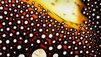 Campuran vitamin c dan gula. Karya Andrey Semenenko.  Foto: Nikon Small World