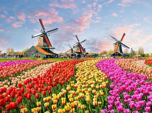 Mengenal University of Twente, Alternatif Kampus dengan Beasiswa di Belanda