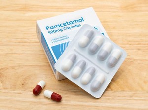 Kementan Ungkap Risiko Paracetamol Dipakai buat Suburkan Tanaman Cabai