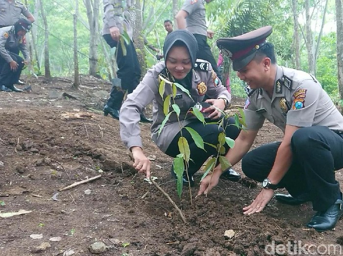 Polisi di Trenggalek Tanam Pohon (Foto: Adhar Muttaqin/detikcom)