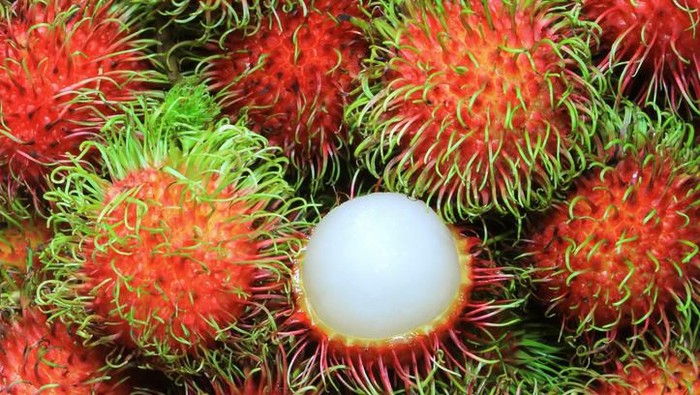 fakta menarik rambutan fakta menarik rambutan