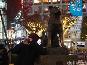 Potret Deadpool Berfoto dengan Hachiko