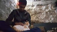 Kisah Sedih di Kota yang Lebih Banyak Kucing Dibanding Manusia