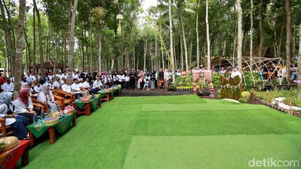 Glenmore Banyuwangi Tawarkan Wisata Kuliner Di Hutan Mahoni Glenmore Banyuwangi Tawarkan Wisata Kuliner Di Hutan Mahoni