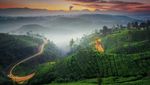 Potret Aneka Wisata Alam di Pengalengan Bandung