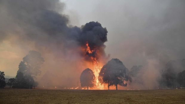 Petenis top dunia gelar laga amal untuk kebakaran hutan dan lahan di Australia.
