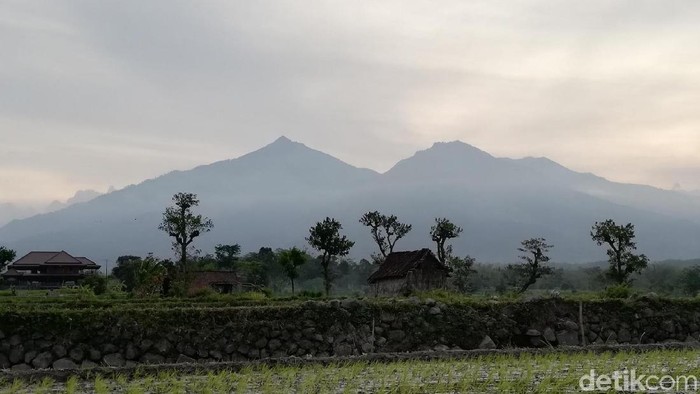 Gunung Arjuno-Welirang menjadi salah satu pilihan para pendaki untuk menghabiskan malam terkahir di 2019. Seribu pendaki akan menyambut fajar pertama 2020 di gunung tersebut.