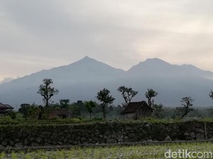 Pendakian Gunung Arjuno Via Sumber Brantas Ditutup Imbas Mahasiswa UB Tewas