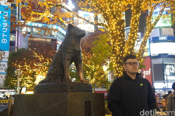 Siapapun yang datang ke Shibuya Crossing pasti bertemu dengan patung anjing setia ini. (Syanti/detikcom)