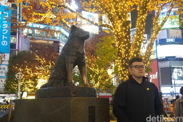 Setiap hari, Hachiko datang namun tuannya tak kunjung muncul. Sepuluh tahun menunggu, Hachikko pun meninggal. Orang-orang yang tahu tentang anjing setia ini pun lalu mengkremasi jasadnya dan dia dimakamkan disamping tuan yang disayangnya.(Syanti Mustika/detikcom) Setiap hari, Hachiko datang namun tuannya tak kunjung muncul. Sepuluh tahun menunggu, Hachikko pun meninggal. Orang-orang yang tahu tentang anjing setia ini pun lalu mengkremasi jasadnya dan dia dimakamkan disamping tuan yang disayangnya.(Syanti Mustika/detikcom)