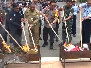 Video Polda Jambi Musnahkan Narkoba Senilai Rp 27 Miliar