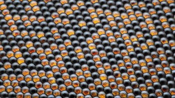 Pola mata majemuk lalat. Karya Razvan Cornel Constantin. Foto: Nikon Small World 