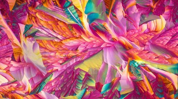 Pengkristalan asam amino l-glutemine dan beta-alanine. Karya Justin Zoll. Foto: Nikon Small World 