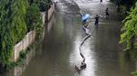 Setinggi Ini Banjir di Halte Busway Pos Pengumben Jalan Panjang