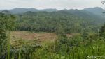 Foto: Curug Panganten, Kesegaran Tersembunyi di Ciamis