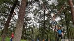Foto: Main Trampolin Seru di Tengah Sejuknya Hutan Pinus