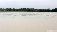 Selain merugikan petani, banjir ini juga membuat bangkrut para penyuplai air. Penyuplai air ini adalah mereka yang mengambil air dari sungai dengan mesin pompa dan membagikannya ke petani. Mereka akan menerima bayaran setiap kali panen sebesar Rp 400 ribu tiap kotak sawah. 