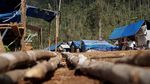 Korban Banjir Konawe Utara Mulai Tempati Huntara