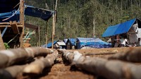 Sementara itu, di Desa Puuwonua, Kecamatan Dadowiya, baru 140 unit huntara yang sudah selesai dibangun dari target sebanyak 297 unit. Di desa lain seperti Tapuwatu yang seluruh rumah di wilayah itu hanyut, pihaknya sudah membangun 70 unit huntara. Desa Tapuwatu dan Walalindu total ada 120 KK yang akan dibangunkan huntara. Untuk Walalindu ada 35 KK, sisanya untuk Tapuwatu. Di 2 tempat itu sudah terbangun 70 unit. Foto: dok. BNPB