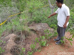 Siapa Pembunuh-Penganiaya 2 Warga di Bukit Batur Agung Gunungkidul