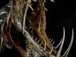 Deretan Foto Mumi Ikan Monster yang Menyeramkan