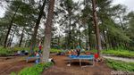 Foto: Main Trampolin Seru di Tengah Sejuknya Hutan Pinus