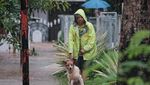 Potret Heroik Damkar-Warga Selamatkan Anjing Terjebak Banjir
