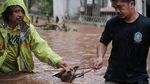 Potret Heroik Damkar-Warga Selamatkan Anjing Terjebak Banjir