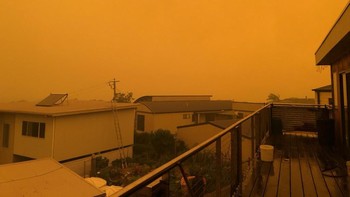 Foto: (brendanh_au/Twitter)