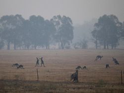 Fenomena Langit Merah Darah di Australia