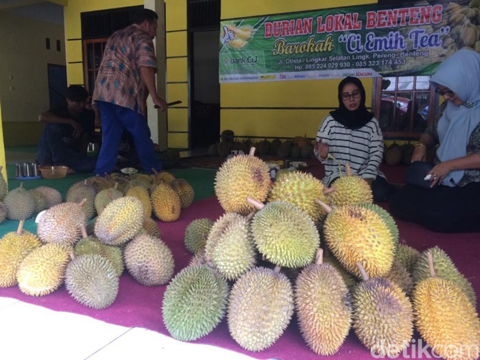 Foto: Dadang Hermansyah/dok. detikcom Foto: Dadang Hermansyah/dok. detikcom