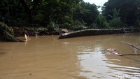 Akibatnya perumahan langsung terendam banjir.