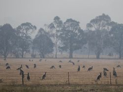 Fenomena Langit Merah Darah di Australia