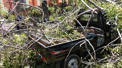 Duh, Ada Mobil Tertimpa Pohon Tumbang di By Pass Ngurah Rai Bali