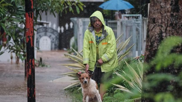 Viral Kisah Heroik Penyelamatan Anjing yang Terjebak Banjir di Cinere