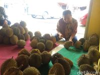 Berburu Durian di Benteng Kampung Durian Ciamis Untuk Oleh-oleh